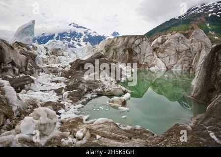 Glacier Salmon, Coast Mountains, British Columbia, Canada Banque D'Images