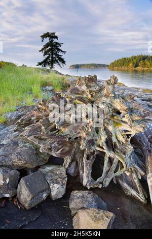 Le passage Gabriola vue depuis le parc provincial de Drumbeg, détroit de Georgia, Gabriola Island, British Columbia, Canada Banque D'Images