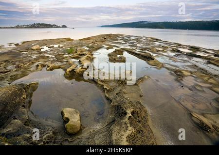 Le passage Gabriola vue depuis le parc provincial de Drumbeg, détroit de Georgia, Gabriola Island, British Columbia, Canada Banque D'Images