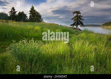 Le passage Gabriola vue depuis le parc provincial de Drumbeg, détroit de Georgia, Gabriola Island, British Columbia, Canada Banque D'Images