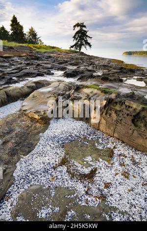 Le passage Gabriola vue depuis le parc provincial de Drumbeg, détroit de Georgia, Gabriola Island, British Columbia, Canada Banque D'Images