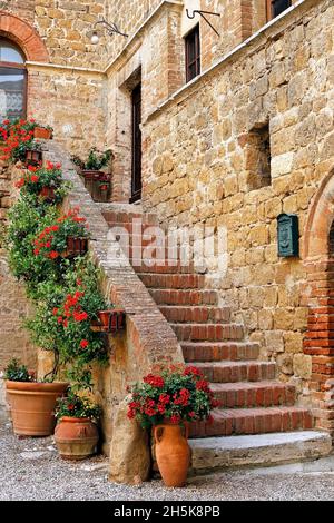 Ancien bâtiment en pierre avec marches en briques et géraniums en pot (Pelargonium); Toscane, Italie Banque D'Images