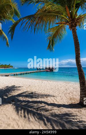 Les gens qui profitent de diverses activités récréatives le long du quai et du bord de mer sur la plage de sable de la Plage de la Caravelle, Sainte-Anne sur la Grande-Terre Banque D'Images