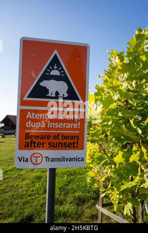 Signe d'avertissement du danger des ours sauvages après le coucher du soleil sur le sentier via Transilvanica à travers la Transylvanie, Roumanie; Transylvanie, Roumanie Banque D'Images