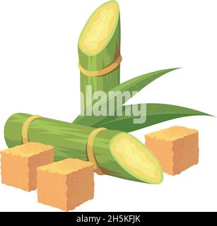 Sucre de canne de dessin animé.Cubes de sucre brun et de canne à sucre plante brute, illustration vectorielle isolée sur fond blanc Illustration de Vecteur