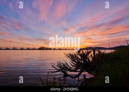 Coucher de soleil sur le fleuve Danubia, Haut-Palatinat, forêt bavaroise ; Bavière, Allemagne Banque D'Images