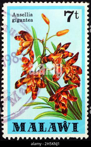 MALAWI - VERS 1979: Un timbre imprimé au Malawi montre ansellia gigantea, est une espèce d'orchidée originaire d'Afrique, vers 1979 Banque D'Images