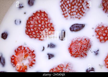 Gros plan des fraises et des bleuets flottant dans le lait Banque D'Images