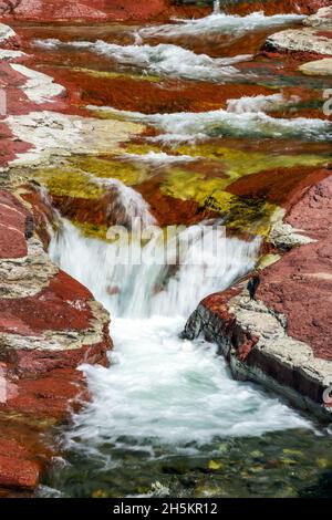 Un ruisseau qui se précipite avec de petites chutes d'eau parmi les bancs de roches rouges, parc national des Lacs-Waterton; Waterton, Alberta, Canada Banque D'Images