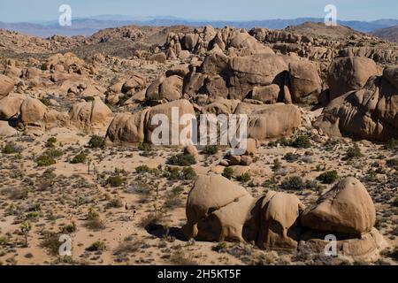 Randonneurs dans le parc national de Joshua Tree. Banque D'Images