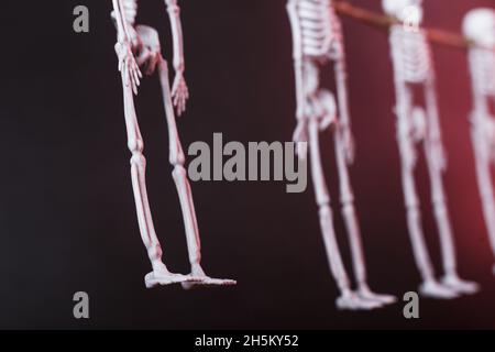 OS de squelettes suspendus sur une corde sur fond sombre.Décoration d'Halloween, gros plan Banque D'Images