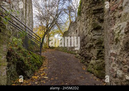 Les ruines du château de Drachenfels dans un climat d'automne vif Banque D'Images