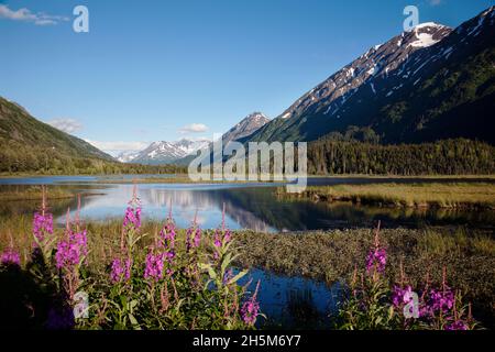 Vue panoramique depuis la Seward Highway dans la forêt nationale de Chugach.Image originale de Carol M. Highsmith’s America, collection de la Bibliothèque du Congrès. Banque D'Images