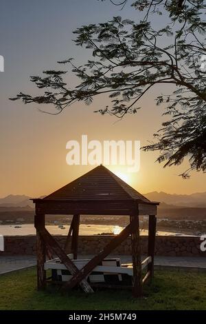 Un arbre en bois léger se dresse sur la rive de la mer d'été sous un arbre.En arrière-plan il y a des montagnes et le soleil se couche de derrière le g Banque D'Images