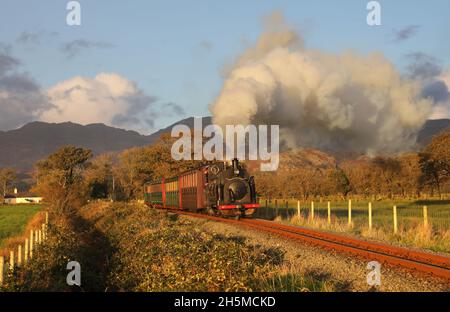Le poney gallois No5 dirige le pont Croesor sur le chemin de fer des Highlands gallois - 3.11.21 Banque D'Images