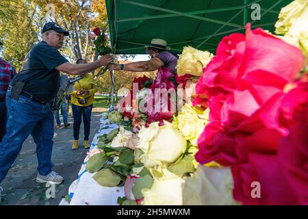Arlington, États-Unis d'Amérique.10 novembre 2021.Les fleurs sont distribuées pour être utilisées lors d'un événement de commémoration du centenaire à la tombe du soldat inconnu, au cimetière national d'Arlington, le mercredi 10 novembre 2021, à Arlington,Virginia.Credit: Alex Brandon/Pool via CNP photo via Credit: Newscom/Alay Live News