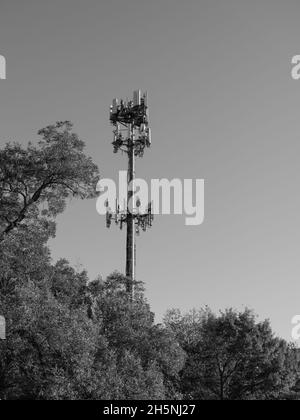 Une tour cellulaire se tient au-dessus des arbres dans un parc municipal à côté de la base de réserve interarmées de la base aérienne navale de fort Worth, Texas. Banque D'Images