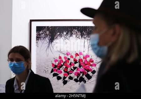 Paris, France.10 novembre 2021.Les gens visitent la photo de Paris 2021 lors d'un aperçu médiatique au Grand Palais Ephemere à Paris, France, le 10 novembre 2021.L'événement devrait se tenir du 11 au 14 novembre.Credit: Gao Jing/Xinhua/Alamy Live News Banque D'Images