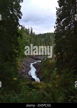 Belle vue sur la chute d'eau populaire au parc provincial Elk Falls près de Campbell River, île de Vancouver, Colombie-Britannique, Canada en automne. Banque D'Images