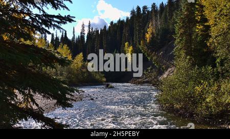 Belle vue sur le fleuve Slim Creek, une entrée du fleuve Fraser dans la vallée Robson, Colombie-Britannique, Canada, près de l'autoroute Yellowhead (16) par temps ensoleillé. Banque D'Images