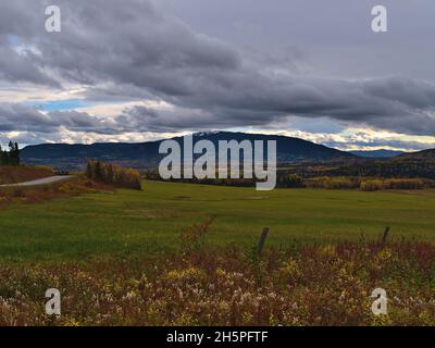 Magnifique paysage d'automne à Yellowhead Highway (16) près de Houston, Colombie-Britannique, Canada avec prairie verte entourée d'herbe colorée et d'arbres. Banque D'Images