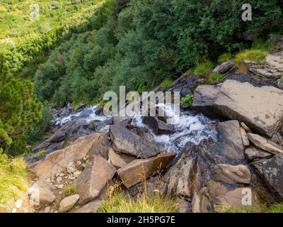 Cascade sous le sommet de Hoverla Banque D'Images
