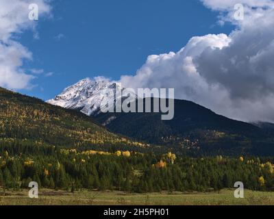 Magnifique paysage d'automne près de McBride, Colombie-Britannique, Canada vu de la route Yellowhead avec prairie, forêt colorée sur la pente et le pic. Banque D'Images