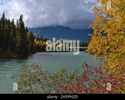 Belle vue sur le fleuve Fraser en automne avec des arbres et des buissons colorés près de Tete June cache, Colombie-Britannique, Canada dans la vallée Robson. Banque D'Images