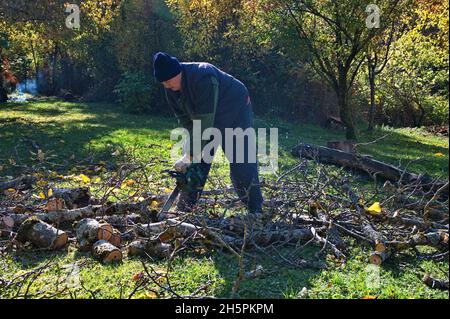 Arborier homme coupant des branches avec une tronçonneuse Banque D'Images