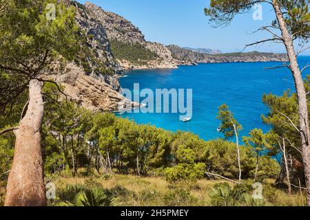 Eaux turquoise de Majorque. Plage de Coll Baix. Côte méditerranéenne. Espagne Banque D'Images