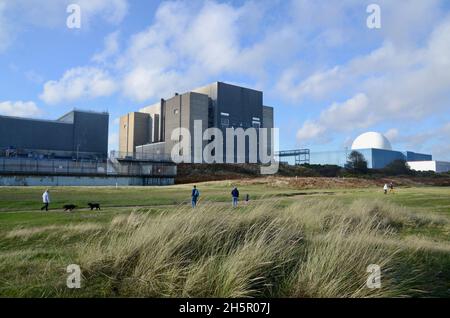 Randonneurs de chiens sur la plage à la centrale nucléaire de sizewell est suffolk angleterre Royaume-Uni Banque D'Images