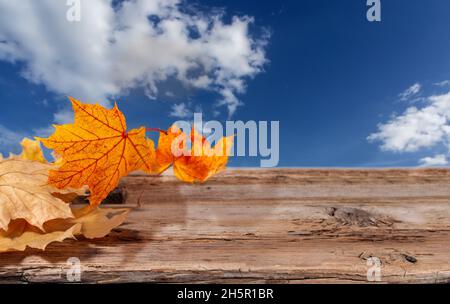 feuilles d'automne sur fond de bois texturé ancien contre ciel bleu avec nuages blancs Banque D'Images
