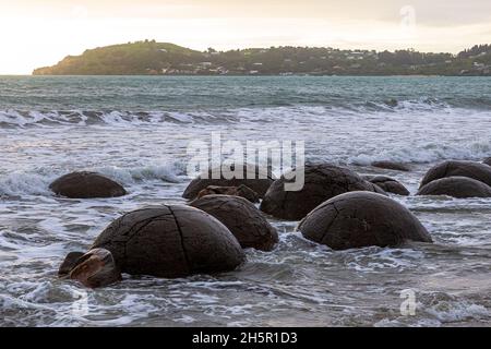 Blocs en forme de boule de Moeraki.Nouvelle-Zélande Banque D'Images