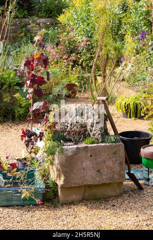 Horticulture, entretien de jardin en cours.Pause thé.Jardinier volontaire absent avec congé!Plantes alpines poussant dans une ancienne ferme d'alimentation de bétail Banque D'Images