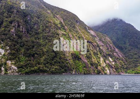 Falaises boisées au milieu de la mer.Parc national de Fiordland.Nouvelle-Zélande Banque D'Images