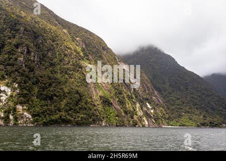 Falaises boisées au milieu de la mer.Parc national de Fiordland.Île du Sud, Nouvelle-Zélande Banque D'Images