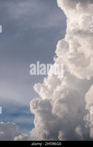 Bord vertical spectaculaire de la rangée de cumulus gris et blanc, contrastant avec le ciel bleu pâle de fond.Le temps du printemps dans le Queensland, en Australie. Banque D'Images