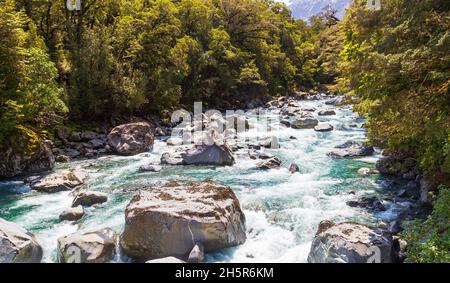 Parc national de Fiordland.Rivière Stormy au milieu de la forêt.Nouvelle-Zélande Banque D'Images