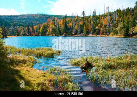 Lac Laka dans le parc national de Sumava Banque D'Images