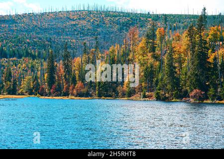 Lac Laka dans le parc national de Sumava Banque D'Images