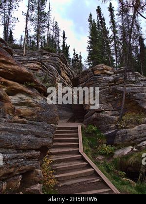 Marches en bois menant à un étroit écart entre les roches érodées colorées avec des couches visibles dans la forêt près des chutes Athabasca, parc national Jasper, Canada. Banque D'Images