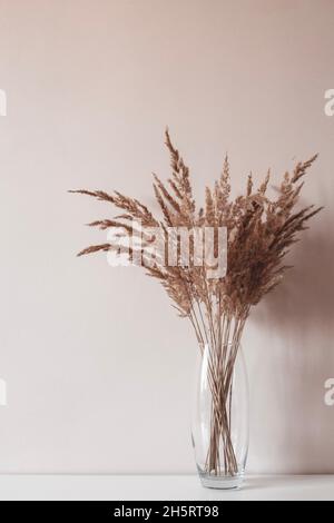 Sécher les roseaux beige ou les fleurs de foin dans le vase en verre.Décoration de style scandinave Banque D'Images