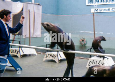 Marineland à Morecambe, 1968 Banque D'Images