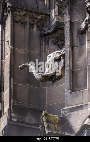 Ulm, Bade-Wurtemberg, Allemagne: Bec d'eau, exécuté comme tête d'éléphant en pierre, sur le côté sud du Minster. Banque D'Images