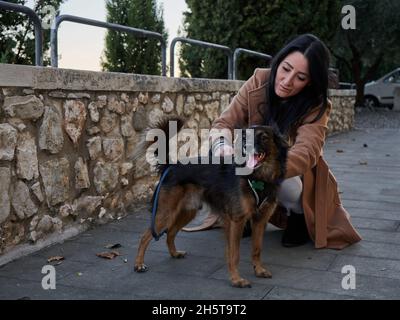 Brunette femme jouer avec un petit chien Banque D'Images