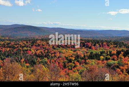 Marlboro, Vermont, États-Unis.Des couleurs spectaculaires s'enflamment lorsque les arbres se mettent à clignoter en automne dans la zone de conservation de Hogback Mountain. Banque D'Images