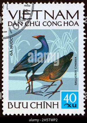 VIETNAM - VERS 1972: Un timbre imprimé au Vietnam montre le coq d'eau, gallicrex cinerea, est un oiseau d'eau dans la famille des rails et des craies, vers 1972 Banque D'Images