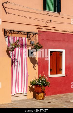 Maison colorée avec pot de fleurs, Burano, Venise, Italie Banque D'Images