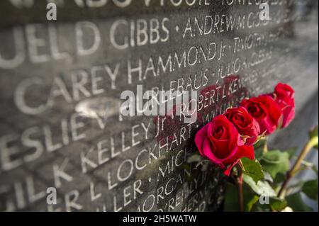 Washington, États-Unis.11 novembre 2021.Un visiteur laisse des roses au Vietnam Veterans Memorial, le jour des vétérans à Washington, DC, le jeudi 11 novembre 2021.Photo de Bonnie Cash/UPI Credit: UPI/Alay Live News Banque D'Images