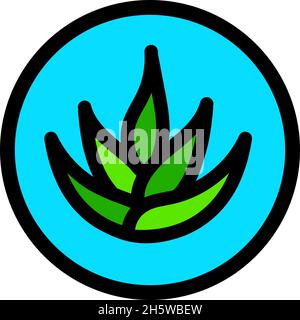 Icône de ligne de couleur Agave Aloe vera.Feuilles succulentes, épines de cactus.Pousses de plantes vertes.Symbole de contour.Dessin isolé d'illustration de couleur vectorielle. Illustration de Vecteur
